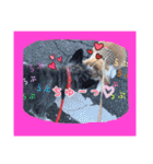 ゆりごろうさん動物王国（個別スタンプ：8）