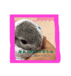 ゆりごろうさん動物王国（個別スタンプ：13）