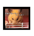ゆりごろうさん動物王国（個別スタンプ：20）