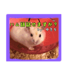 ゆりごろうさん動物王国（個別スタンプ：25）