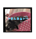 ゆりごろうさん動物王国（個別スタンプ：26）