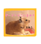 ゆりごろうさん動物王国（個別スタンプ：28）