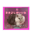 ゆりごろうさん動物王国（個別スタンプ：30）