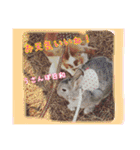 ゆりごろうさん動物王国（個別スタンプ：31）