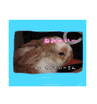 ゆりごろうさん動物王国（個別スタンプ：32）