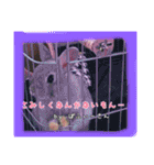 ゆりごろうさん動物王国（個別スタンプ：33）