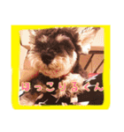 ゆりごろうさん動物王国（個別スタンプ：36）