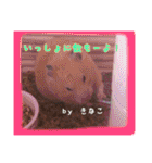 ゆりごろうさん動物王国（個別スタンプ：38）