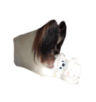 Papita（個別スタンプ：8）