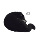 空(くう)（個別スタンプ：15）