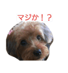きららとうらら（個別スタンプ：3）