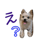 きららとうらら（個別スタンプ：6）
