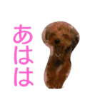 きららとうらら（個別スタンプ：7）