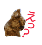きららとうらら（個別スタンプ：10）