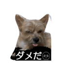 きららとうらら（個別スタンプ：11）