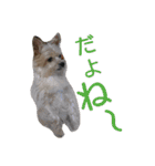 きららとうらら（個別スタンプ：15）