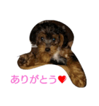 きららとうらら（個別スタンプ：16）