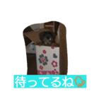 きららとうらら（個別スタンプ：21）