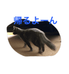 サシャ 第2弾（個別スタンプ：3）