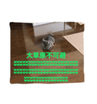 サシャ 第2弾（個別スタンプ：5）