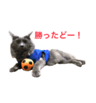 サシャ 第2弾（個別スタンプ：6）