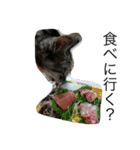papapa_chan2（個別スタンプ：1）