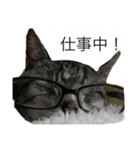 papapa_chan2（個別スタンプ：7）