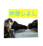papapa_chan2（個別スタンプ：8）