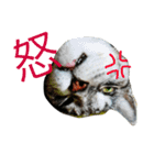 papapa_chan2（個別スタンプ：17）