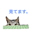 papapa_chan2（個別スタンプ：19）