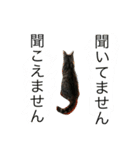 papapa_chan2（個別スタンプ：24）