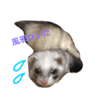ルビィの日常会話。（個別スタンプ：2）