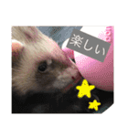 ルビィの日常会話。（個別スタンプ：3）