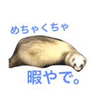 ルビィの日常会話。（個別スタンプ：4）