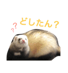 ルビィの日常会話。（個別スタンプ：5）