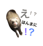 ルビィの日常会話。（個別スタンプ：9）