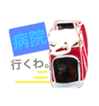 ルビィの日常会話。（個別スタンプ：12）