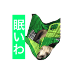 ルビィの日常会話。（個別スタンプ：13）