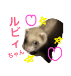 ルビィの日常会話。（個別スタンプ：14）