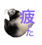 ルビィの日常会話。（個別スタンプ：18）