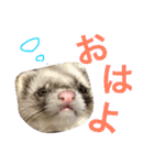 ルビィの日常会話。（個別スタンプ：20）