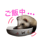 ルビィの日常会話。（個別スタンプ：22）