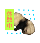 ルビィの日常会話。（個別スタンプ：25）