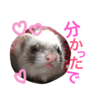 ルビィの日常会話。（個別スタンプ：26）