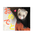 ルビィの日常会話。（個別スタンプ：28）