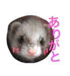 ルビィの日常会話。（個別スタンプ：29）