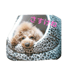 Neru＆friends 東北弁多め。（個別スタンプ：1）