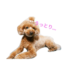 Neru＆friends 東北弁多め。（個別スタンプ：14）