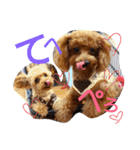 ゆず♡てぃー(トイプードル)犬スタンプ（個別スタンプ：6）