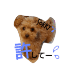 ゆず♡てぃー(トイプードル)犬スタンプ（個別スタンプ：9）